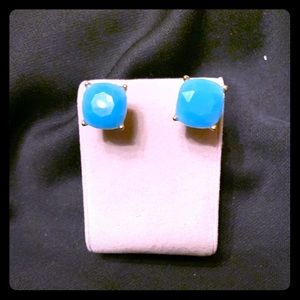 Teal studded earrings